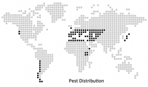 Geographic distribution of European grapevine moth