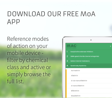 Download the free MoA app